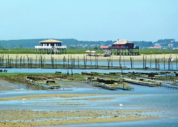 Aquitania-4 By Interhome * Arcachon